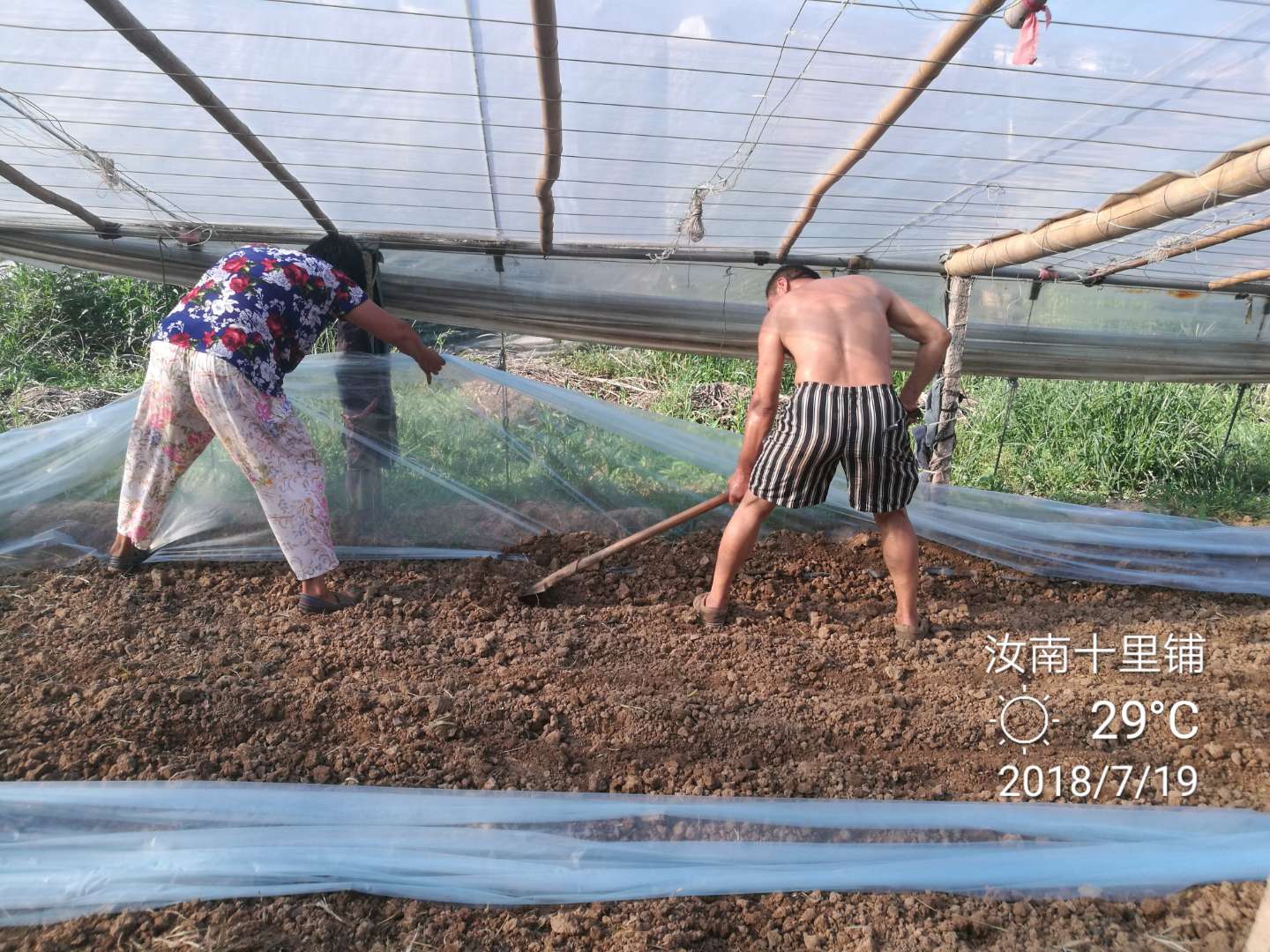 棉隆土壤杀菌剂效果怎么样,棉隆用途及施药方法