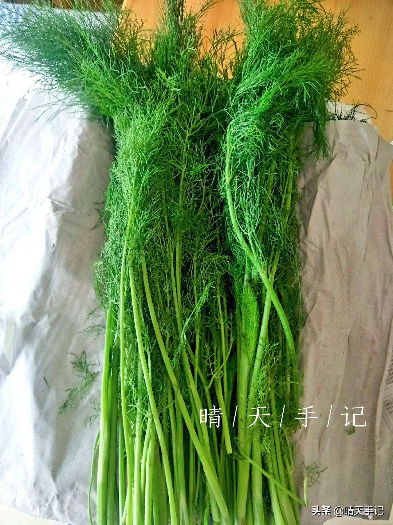 茴香饺子怎么没以前好吃,茴香怎么做饺子最好吃