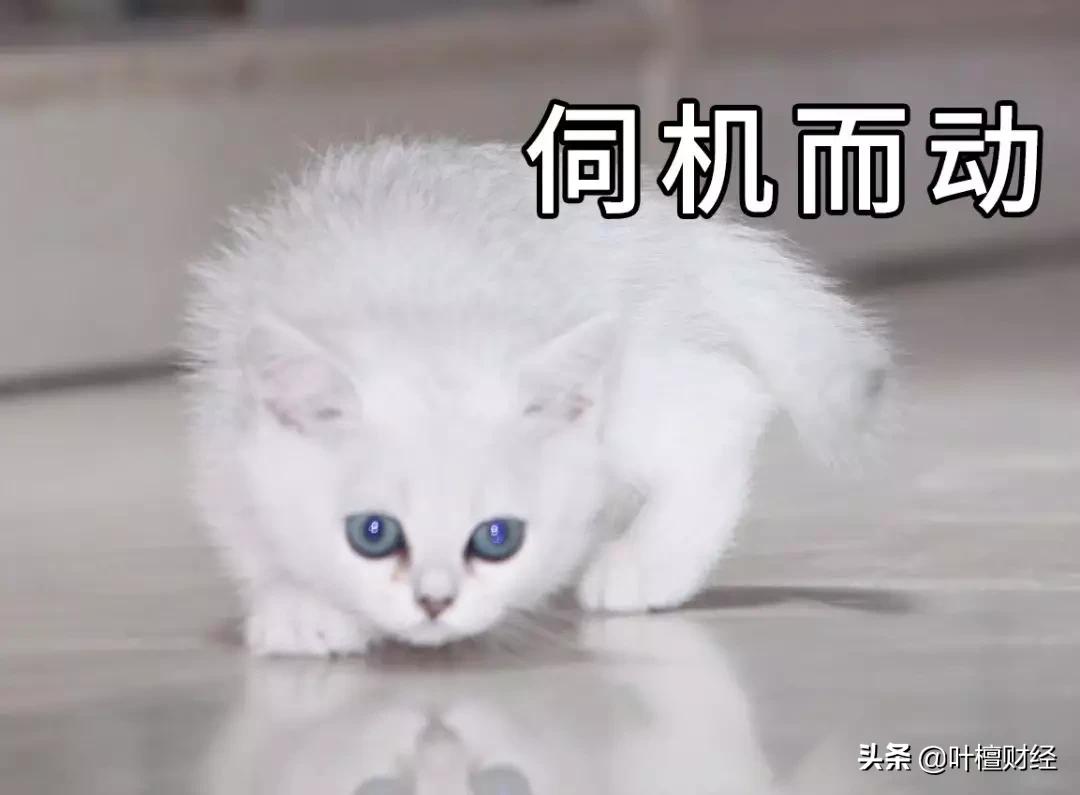 不能错过分析师深刻反思我为什么错过了这家好公司？|檀公司