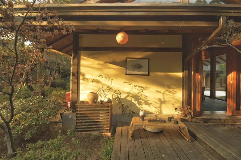 来云南一起看风景吧,来云南一起过年吧