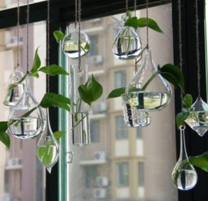 破旧塑料瓶一秒变精美花盆,废饮料瓶的妙用还可以做花盆吗