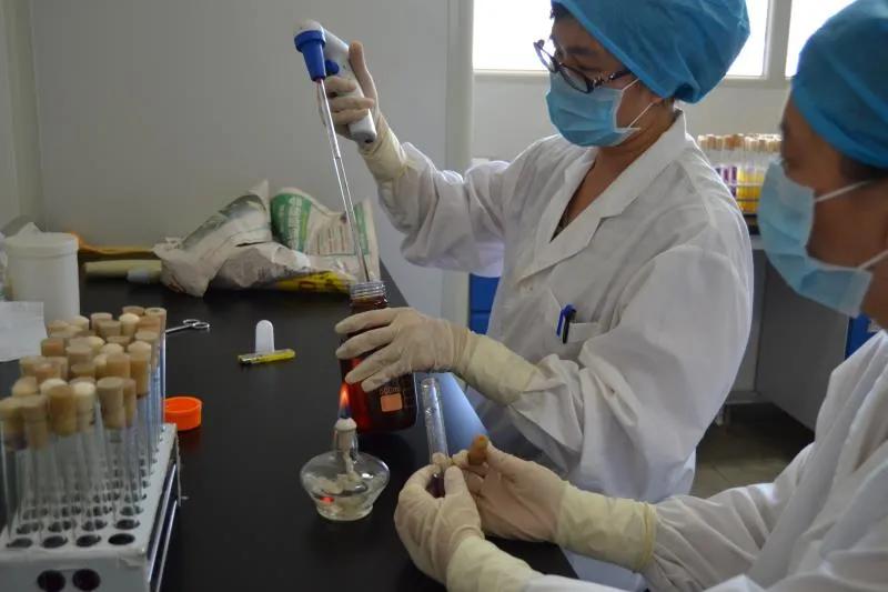 邱志敏个人资料,邱志敏图片