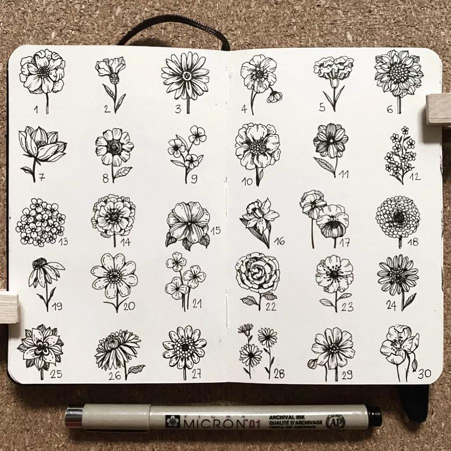 一看就懂的针管简笔画,针管笔入门手绘1000例临摹图