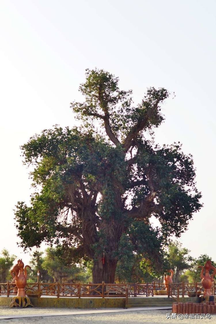 有了这攻略，自驾*藏西**游省心很多