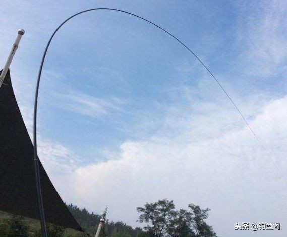 杂牌鱼竿能钓多大鱼,多少钱的鱼竿能钓大鱼