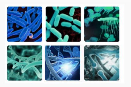 屋顶涂料毒气挥发导致中毒,广东丙烯腈气体检测仪预防事故发生