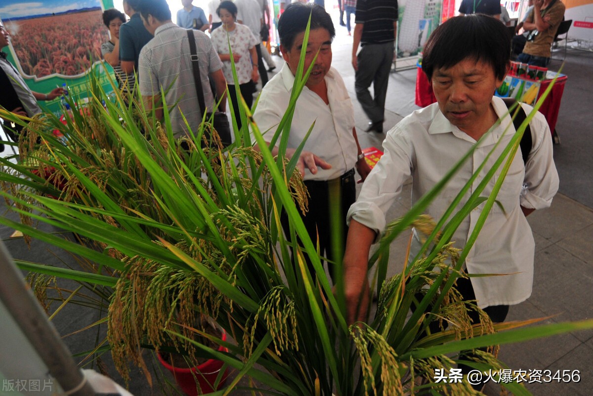 种博会哈尔滨2020,第29届哈尔滨种博会