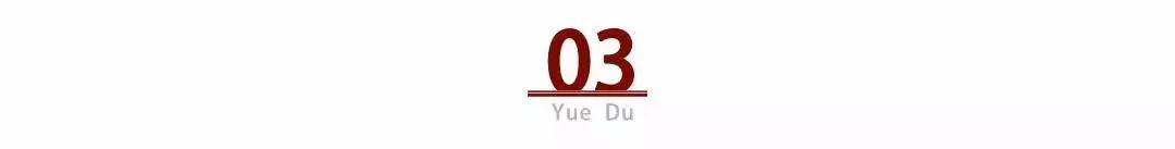 董卿消失的第2个春晚，她去哪里了？