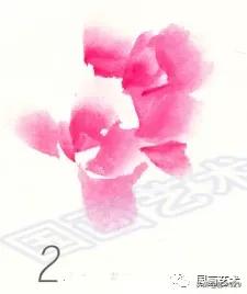 国画技法简单易学的写意牡丹,国画最简单牡丹画法教学视频