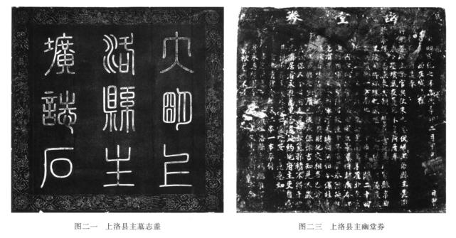 西安盛唐墓葬发掘,西安南郊明墓