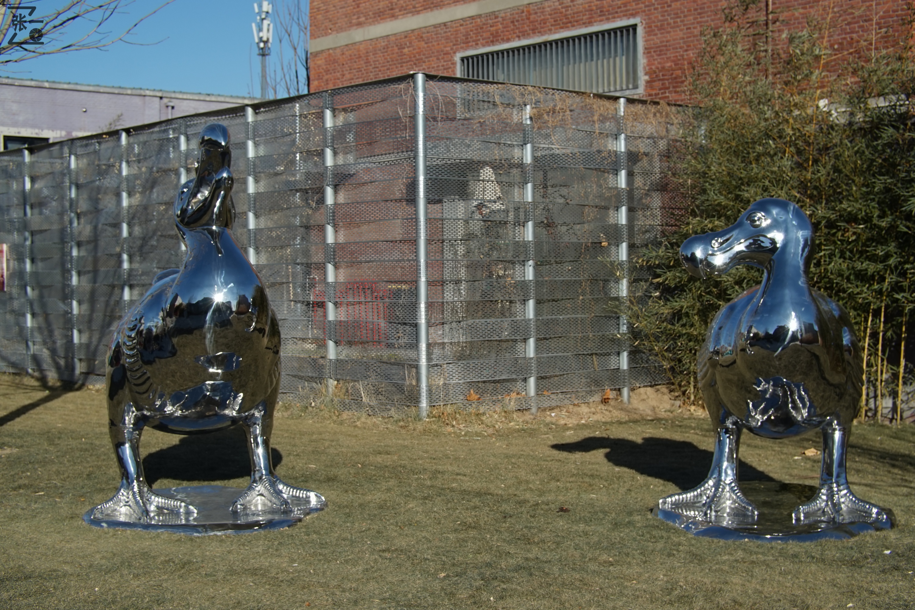 中国产微单,24-135镜头索尼