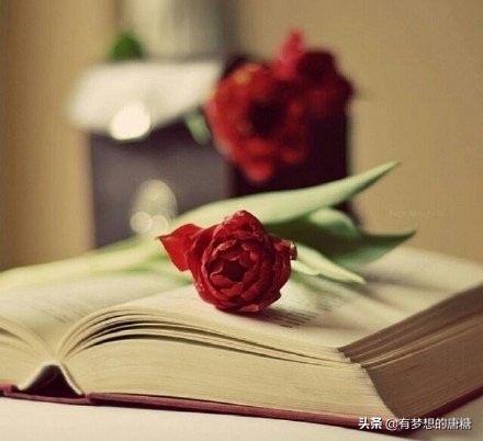 心理学怎么处理愤怒,心理学面对别人的恶意攻击不能忍