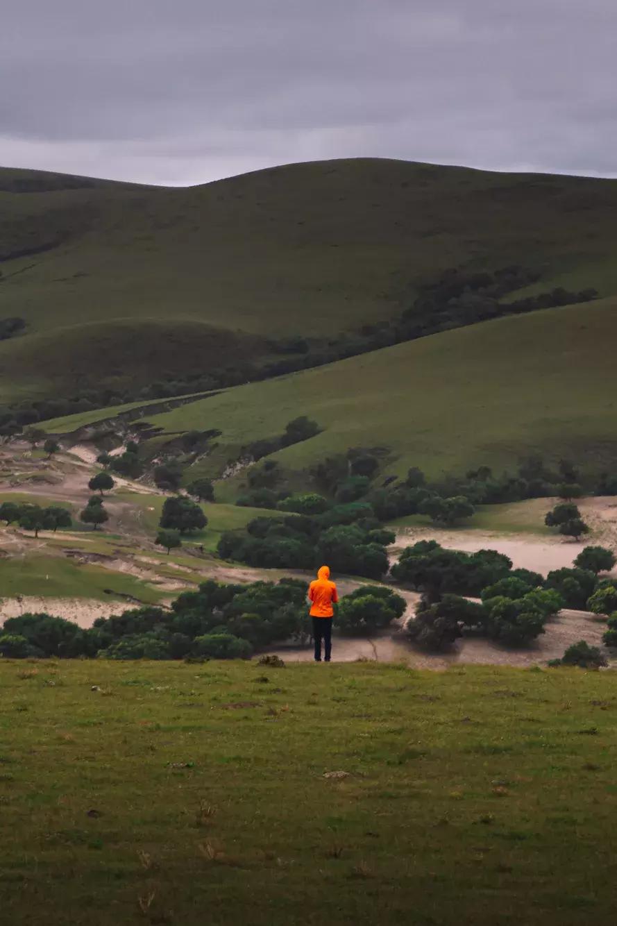 途达探索之旅,途达探索之旅完整版
