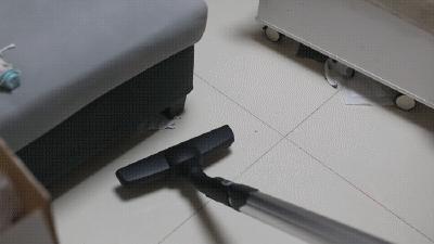 家狗身上痒有脱毛现象怎么办,狗到夏天脱毛特别严重