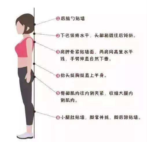 瑜伽教练初级训练动作视频,瑜伽教培班108个入门体式