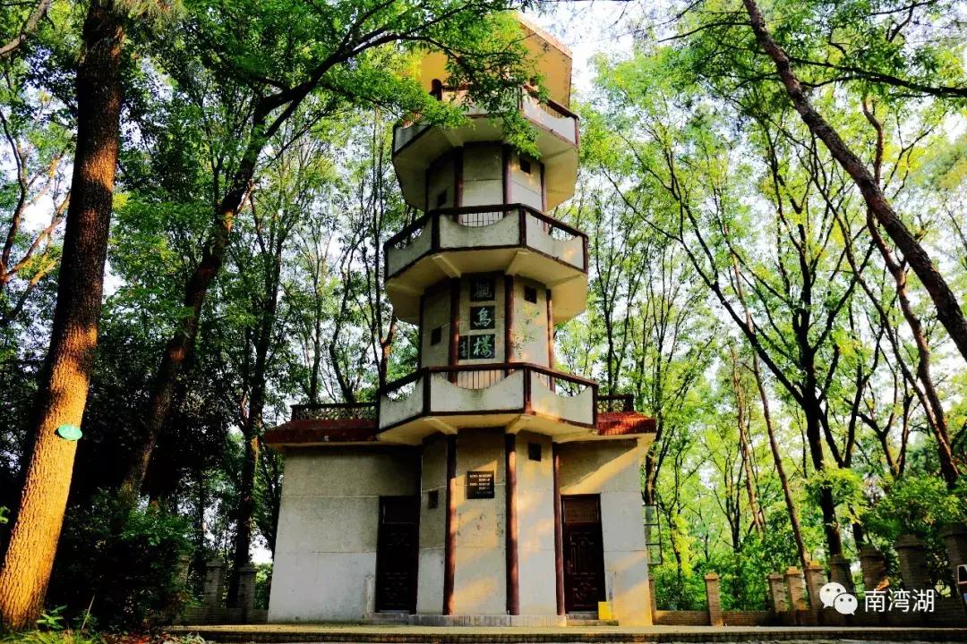 信阳十一假期旅游推荐,信阳南湾湖旅游攻略图