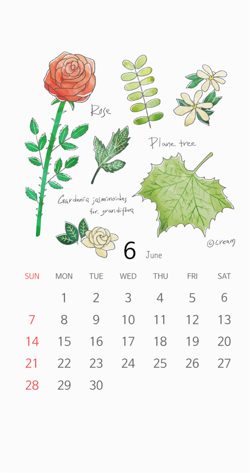 日历壁纸超清全屏,日历倒计时动态壁纸