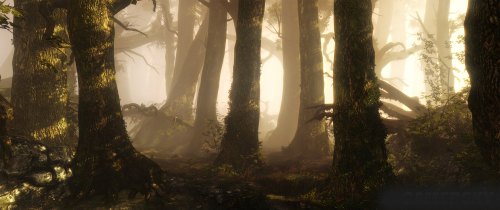 巫师2加强版,巫师2加强版怎么调中文