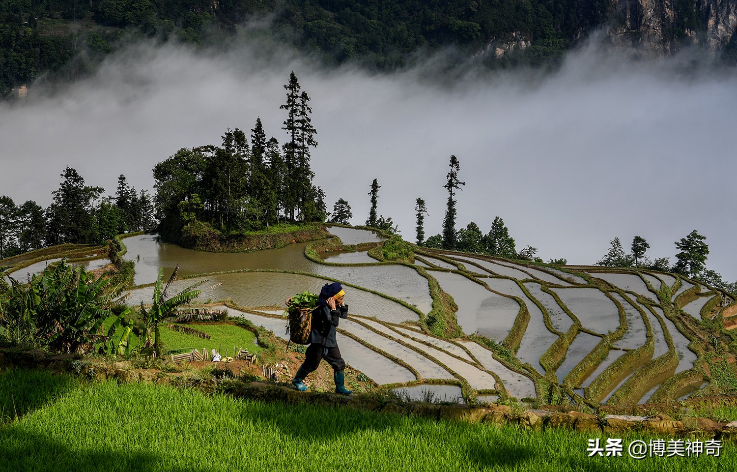 红河哈尼族彝族自治州阿者科村,云南元阳哈尼梯田阿者科村
