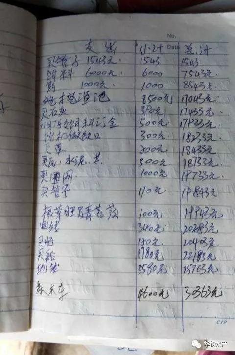 小龙虾如何养殖才能挣钱,小龙虾养殖技术成本与利润致富经