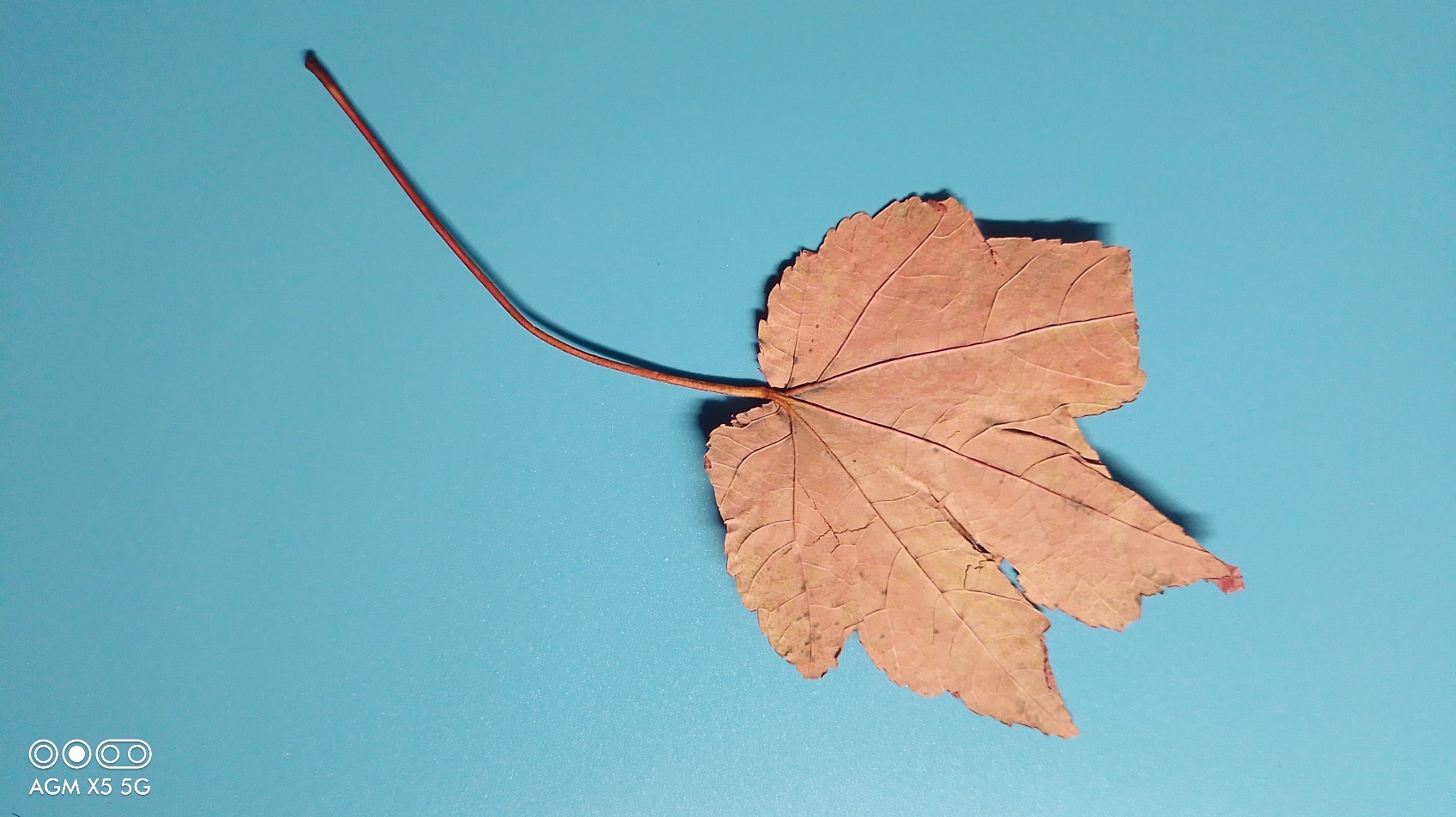 agm三防手机x5,户外手机agmx5