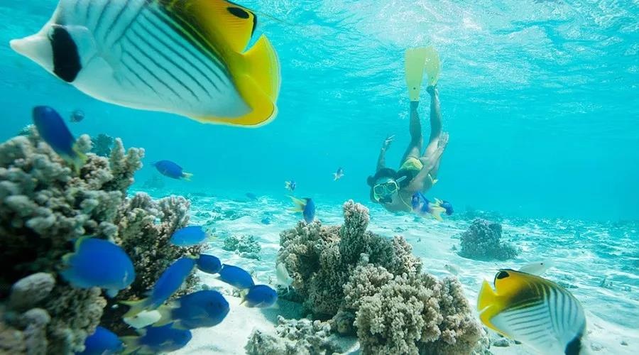 渔家女事件,渔家女海鲜视频