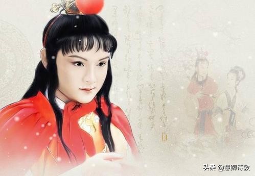 贾宝玉怡红公子来历,怡红公子贾宝玉