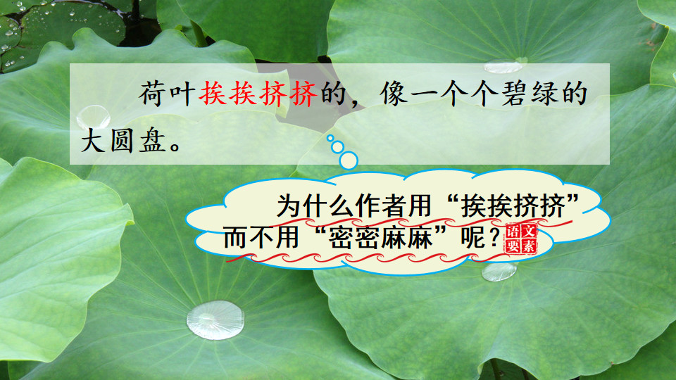 三年级下册语文荷花小练笔200字,三年级下册语文3课荷花课文讲解