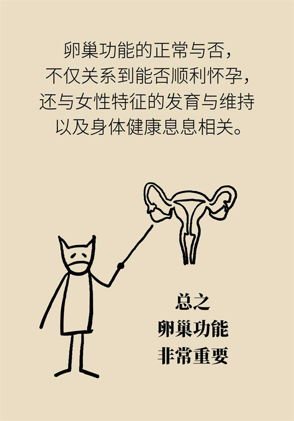 卵巢功能衰退怎么样保胎呢,卵巢功能衰退卵子质量不好怎么办