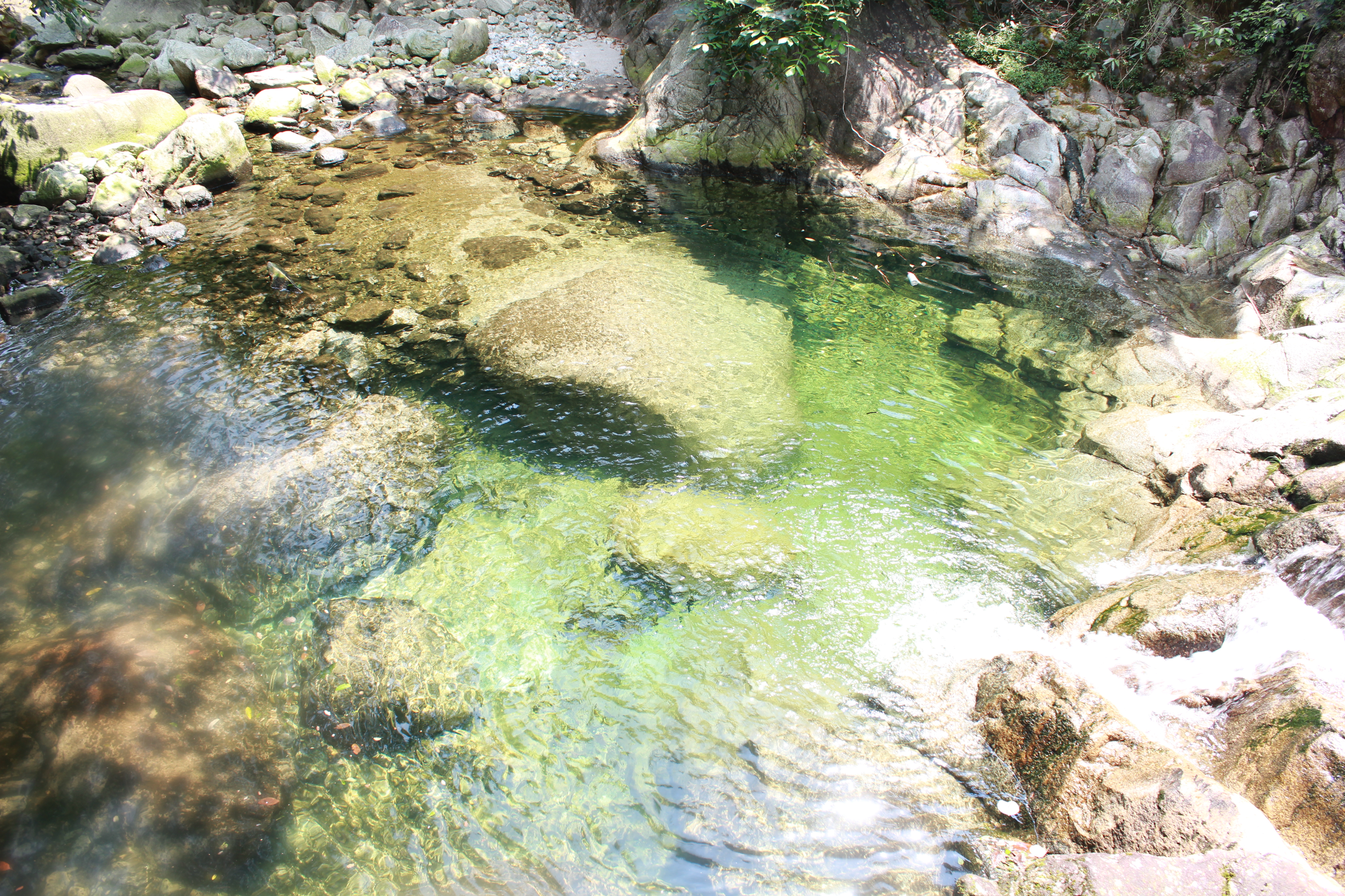 武汉周边避暑胜地|端午武汉至咸宁九宫山2日自驾亲子游路线分享