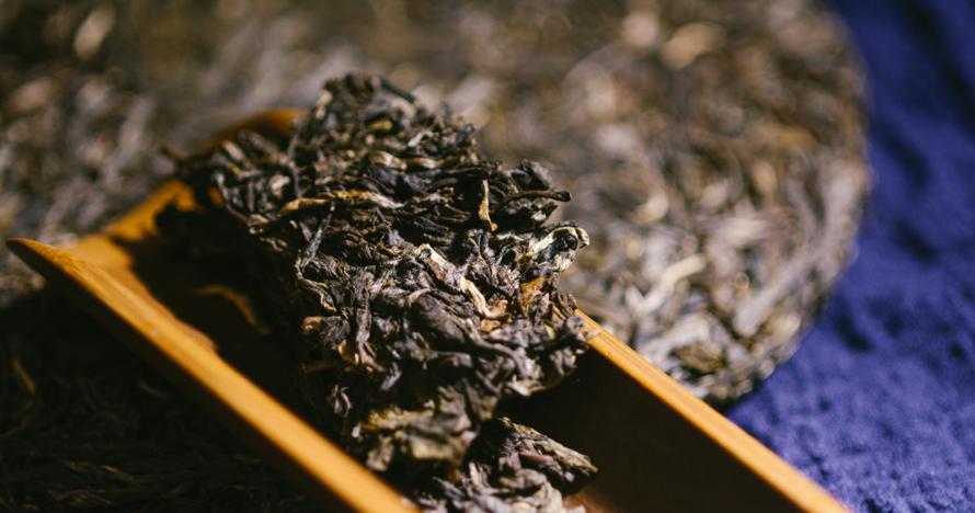 玉苍之南古树茶,玉苍之南茶叶价格表