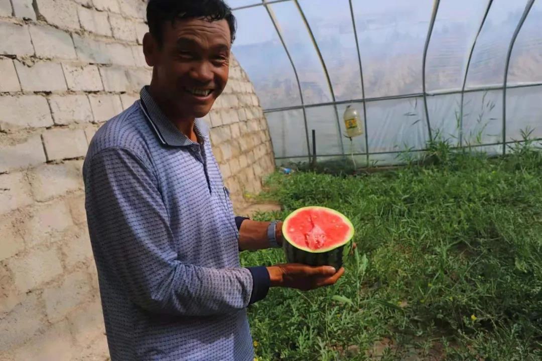 「走进乡村看小康」瓜州县河东镇:无籽西瓜“甜”心窝