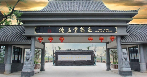 中国中医药非物质文化遗产有哪些,中国非物质文化遗产的中药护肤品