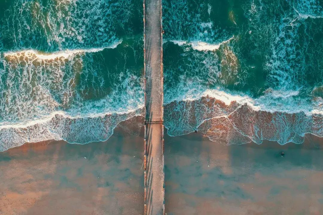 忽然一周,阿拉小优与欣龙控股