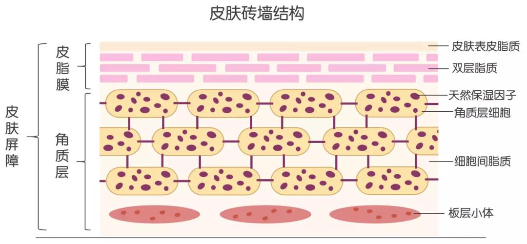 法令纹去除应该填充还是去皱,法令纹除了填充就没其他方法了吗