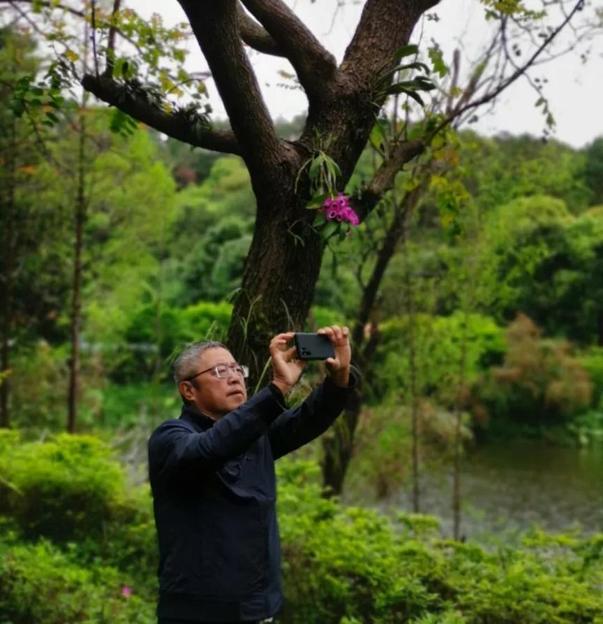 非典时期文化旅游,非典过后的经济反弹
