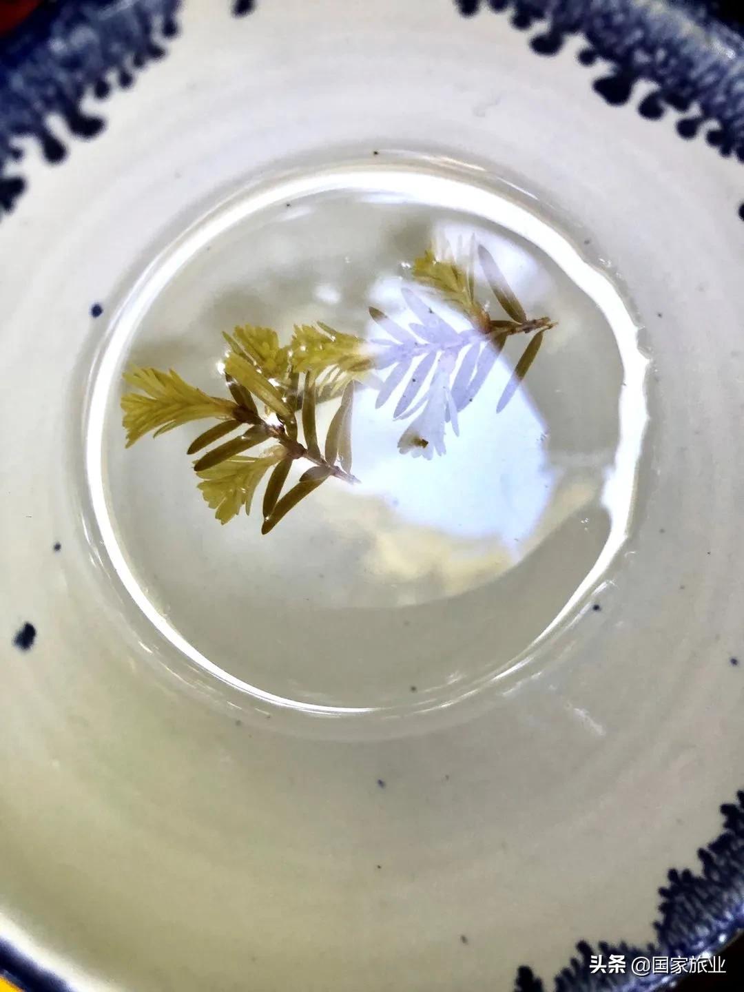 李蔚|旅游局的时代重任,是与目的地潮汐共振