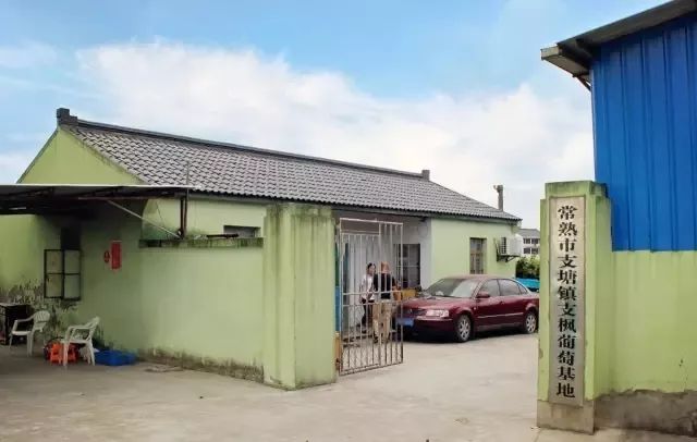 常熟练塘美食推荐,常熟羊庄美食攻略