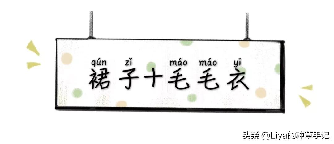 半裙+外套,连衣裙+外套=今春王炸组合