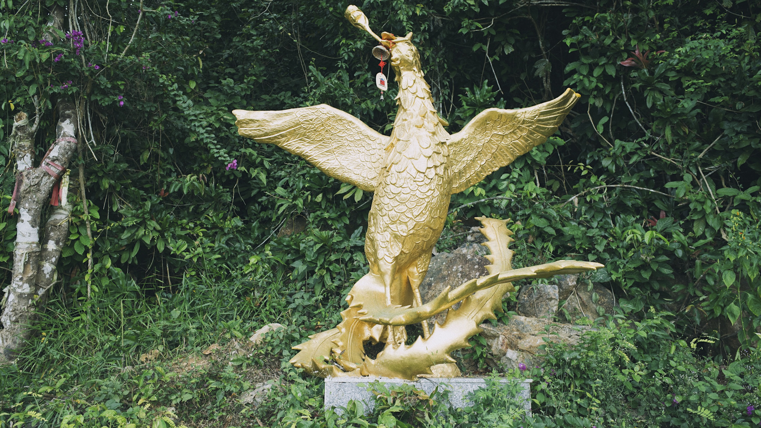 三亚凤凰岭山顶美景,三亚凤凰岭自然风景区攻略视频