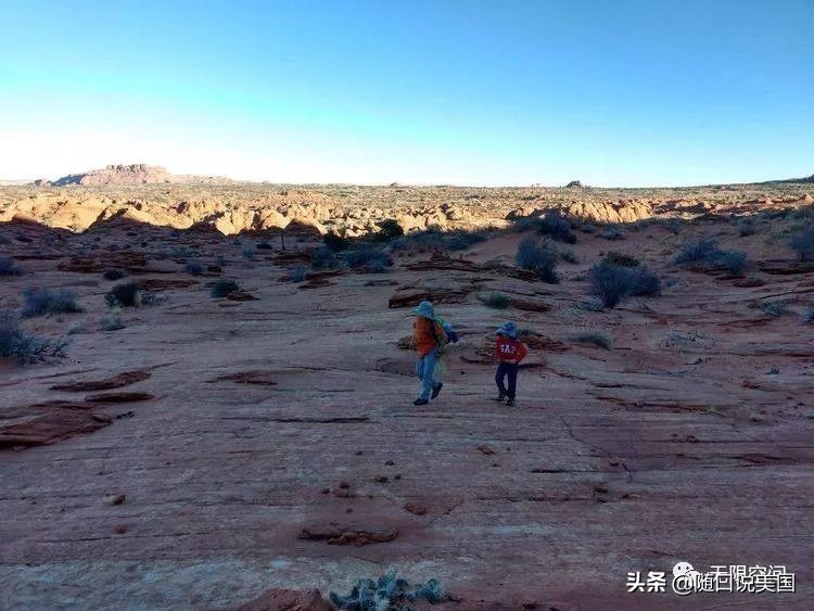 荒野乱斗流彩伊芙强度,荒野行动榴弹怎么用