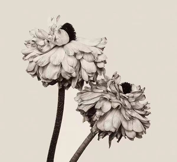 如何通过细节看穿一个人的心理,如何看透一个人8个细节