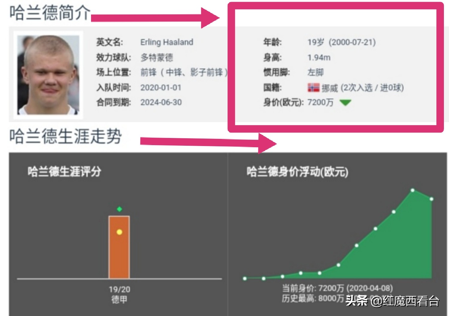 埃尔林哈兰德哪个国家队,埃尔林哈兰德进球集锦