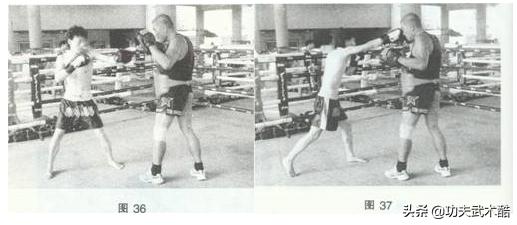 古泰拳必杀技断象拔,古泰拳20招口诀