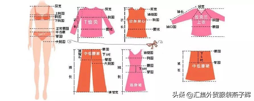 服装尺寸换算,服装号型标准尺寸