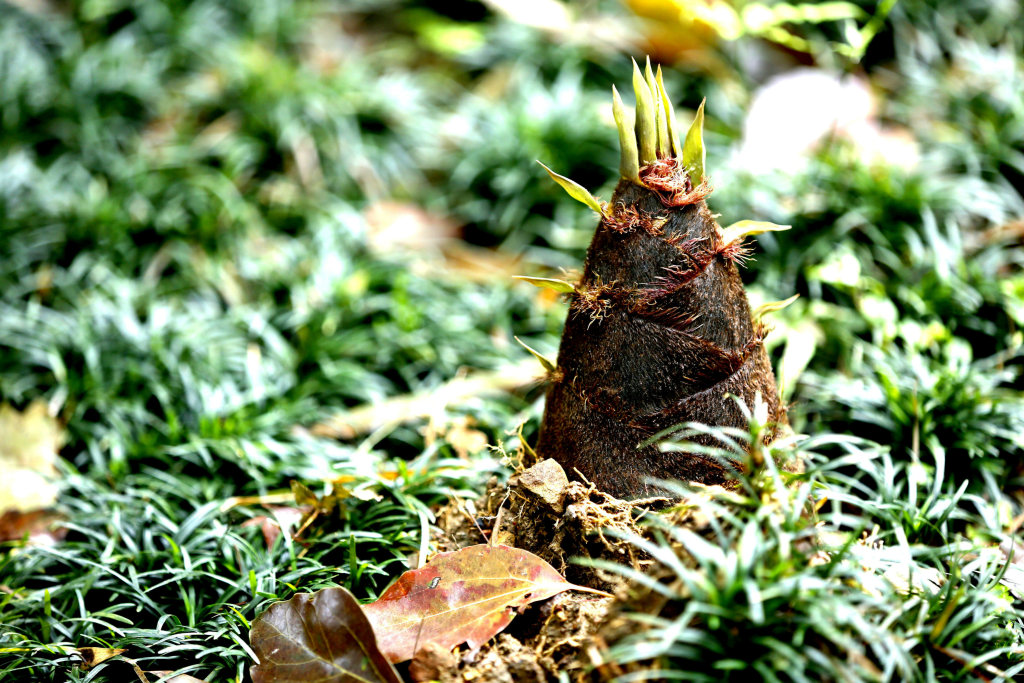 於潜景区,於潜镇有什么旅游景点