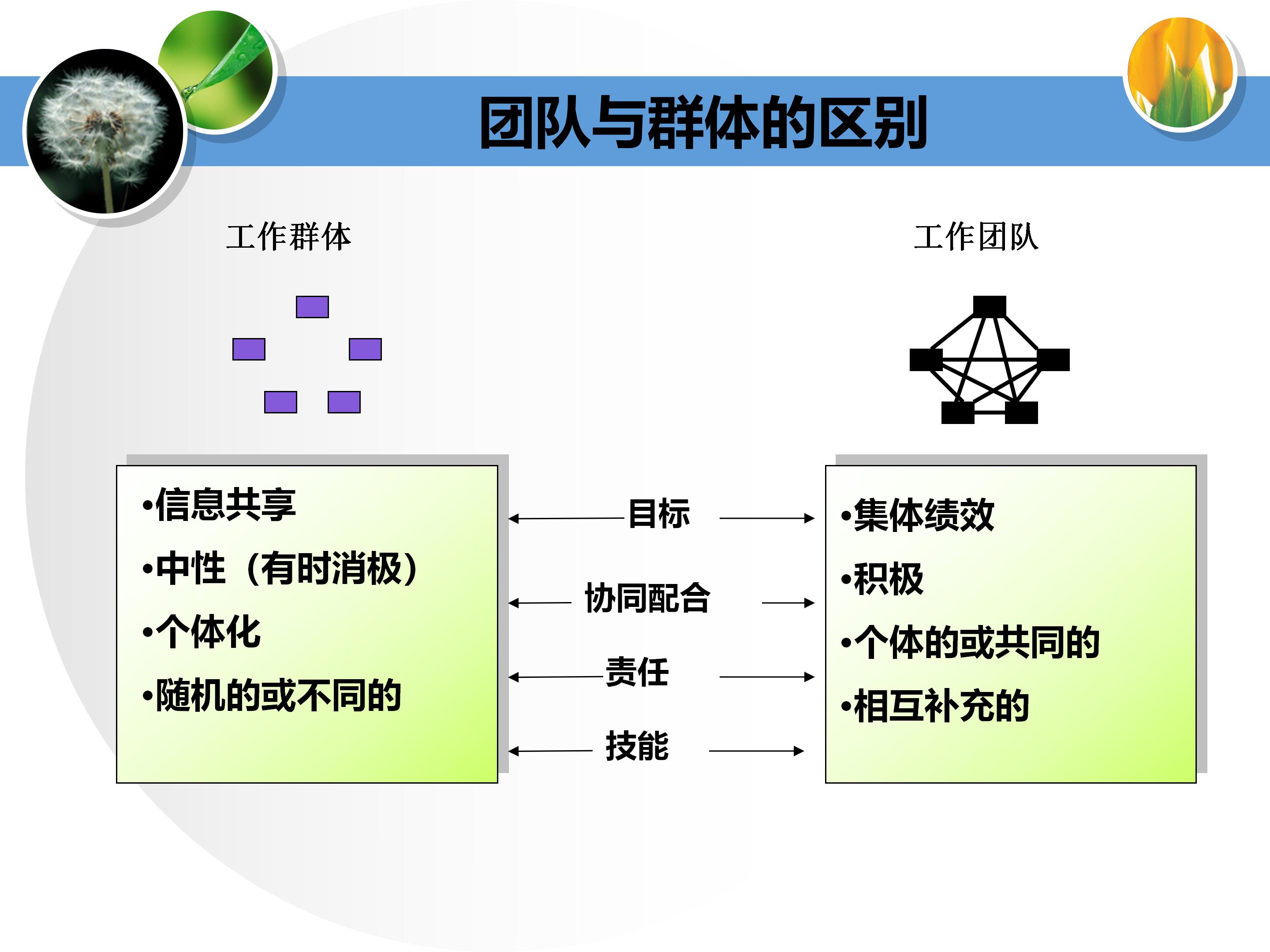 个人与团队管理打造高绩效团队,团队建设建议及个人成长