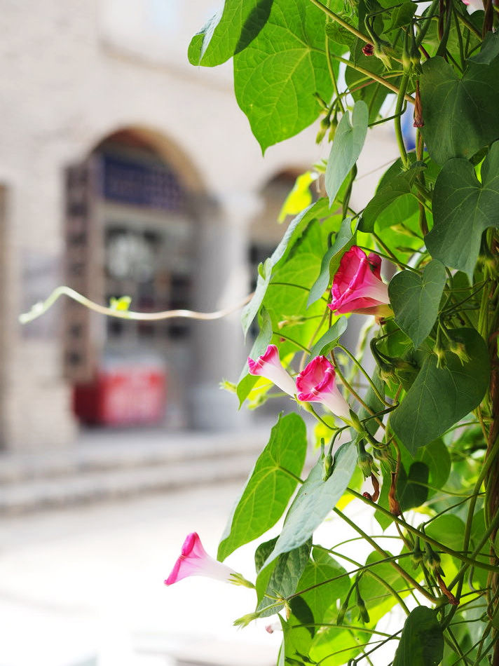 跟着星爷和老谋子的电影，去逛这座大名鼎鼎的西北影视城堡