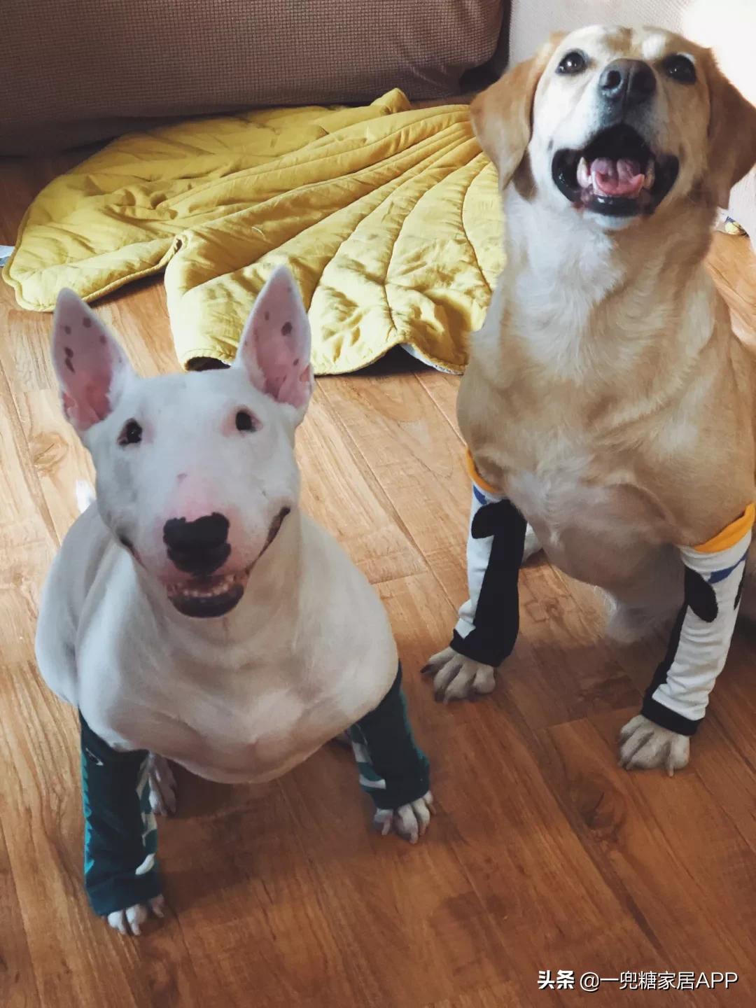 家居必备的100种好物,生活中常见的家居好物推荐