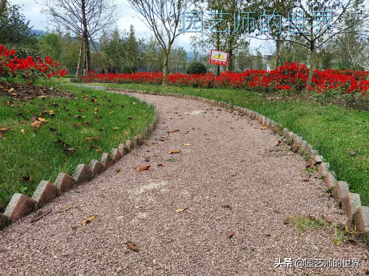 花园科学实验,花园案例及解析